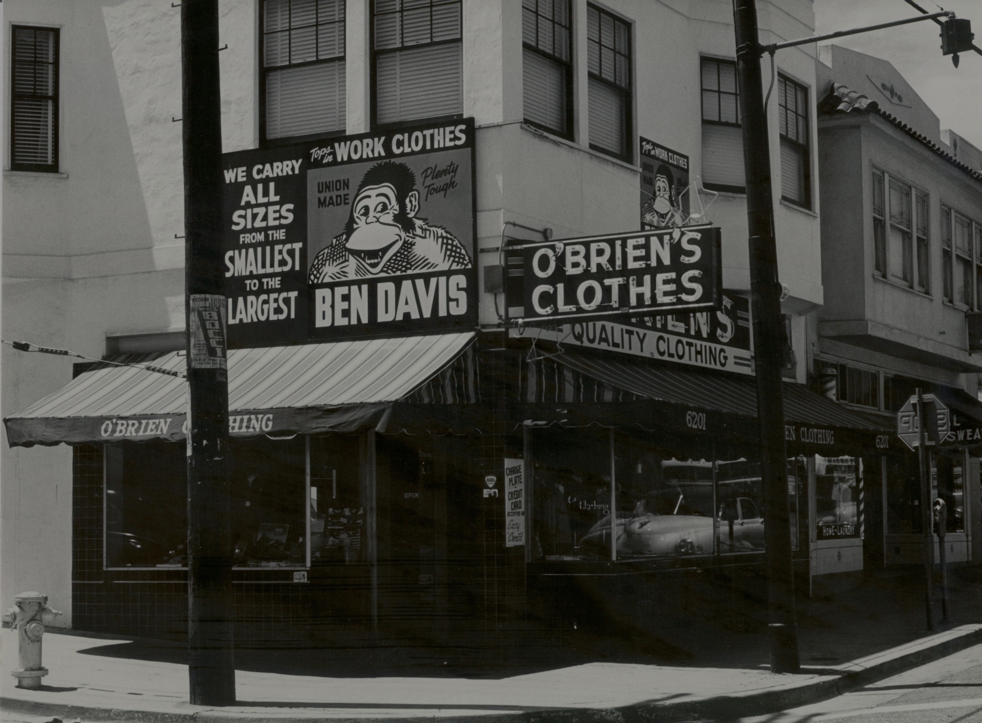 当日発送フォロー割　USA製 BEN DAVIS ゴリラカット　フリスコ　パンツ FROM USA PRODUCTS - BEN DAVIS日本公式サイト